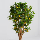 ARTIFICIAL MINI LEMON PLANT (150CM) - Art and craft furniture