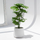 ARTIFICIAL MONSTERA PLANT (120) - Art and craft furniture