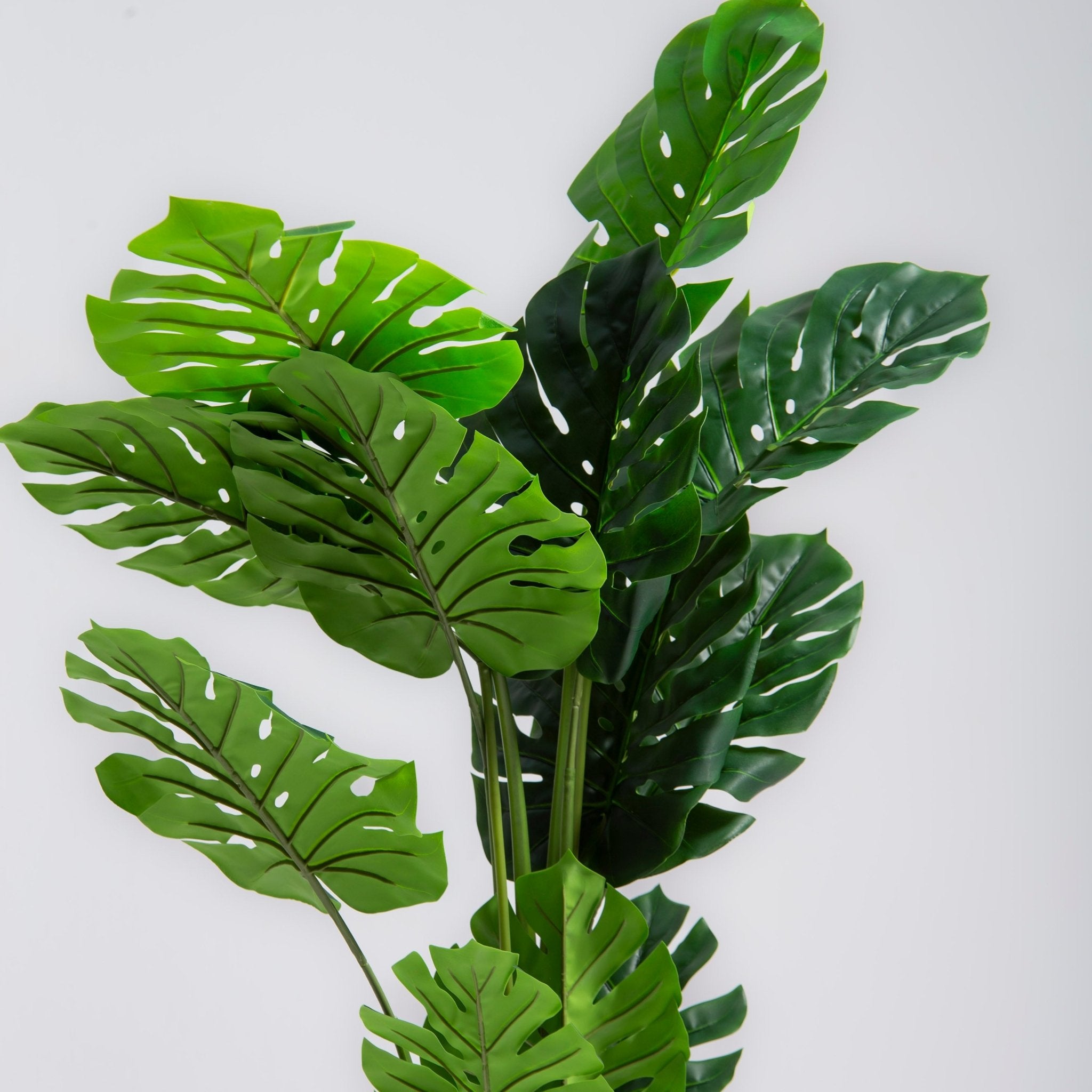 ARTIFICIAL MONSTERA PLANT (150CM) - Art and craft furniture