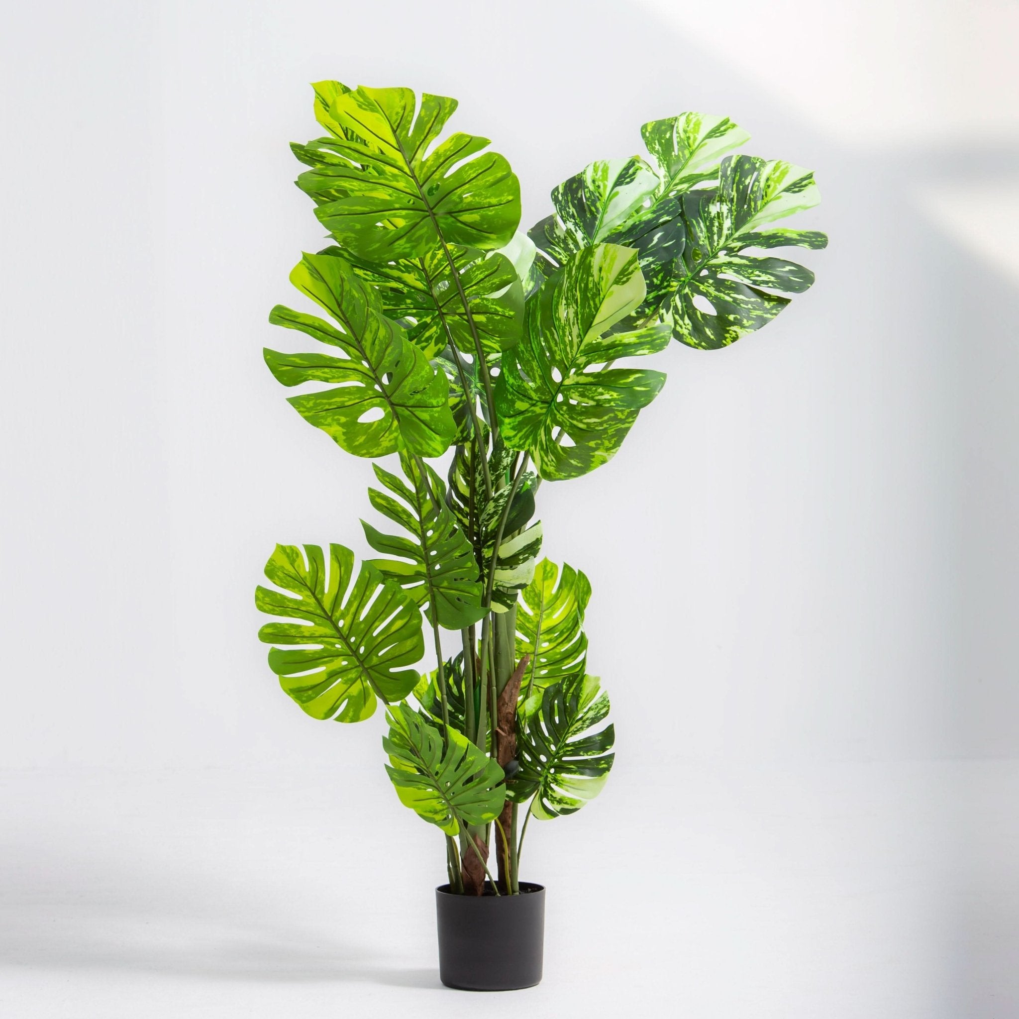 ARTIFICIAL MONSTERA THAI PLANT (150CM) - Art and craft furniture