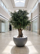 Artificial Natural Olive Wood Olive Tree and Gray Pot - Art and craft furniture