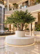 Artificial Natural Olive Wood Olive Tree and White Pot - Art and craft furniture