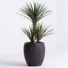 Artificial Oasis Dragon Plant - Art and craft furniture