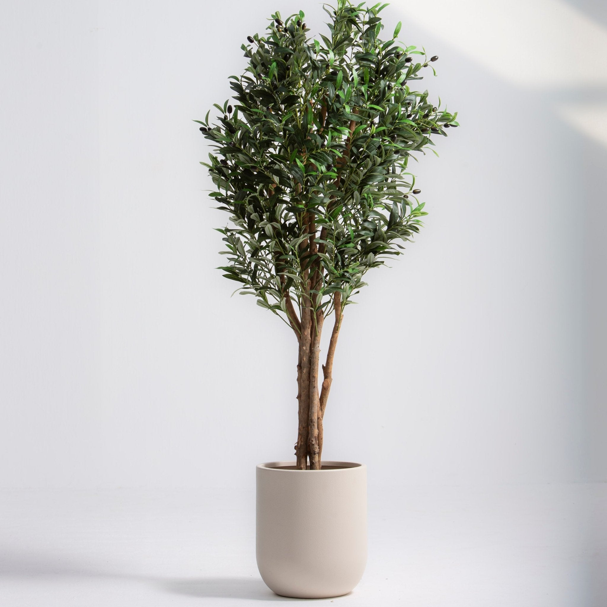 ARTIFICIAL OLIVE PLANT (150CM) - Art and craft furniture