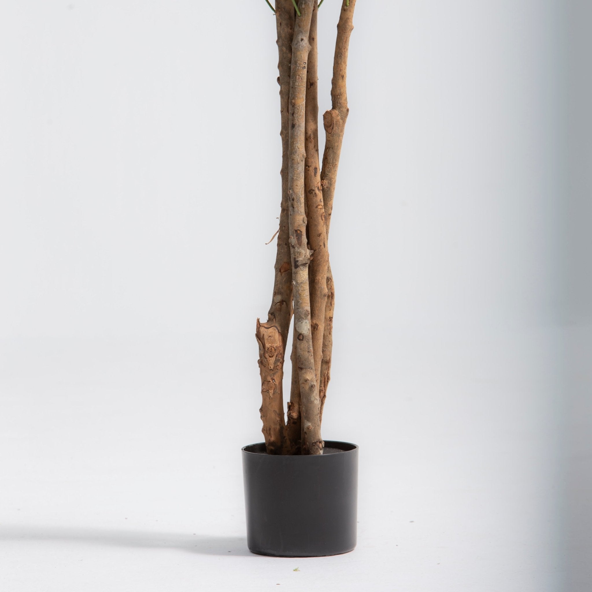 ARTIFICIAL OLIVE PLANT (180CM) - Art and craft furniture