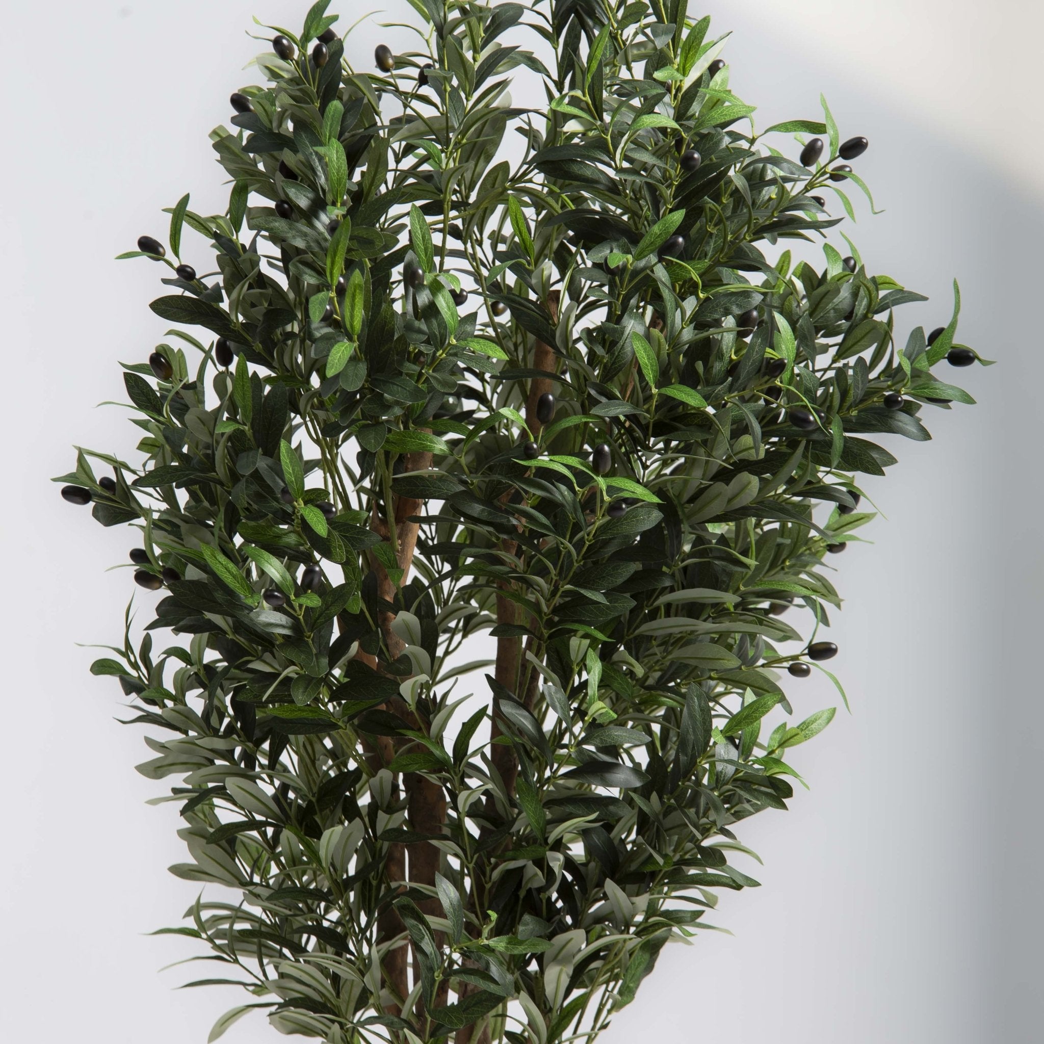 ARTIFICIAL OLIVE PLANT (210 CM) - Art and craft furniture