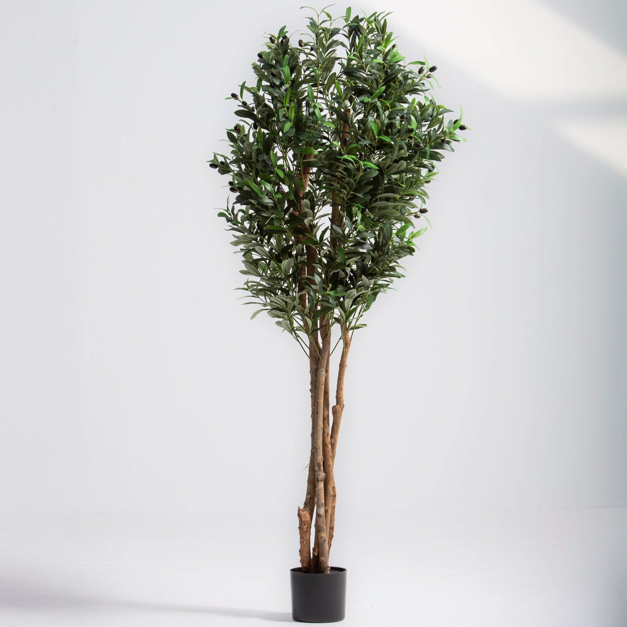 ARTIFICIAL OLIVE PLANT (210 CM) - Art and craft furniture