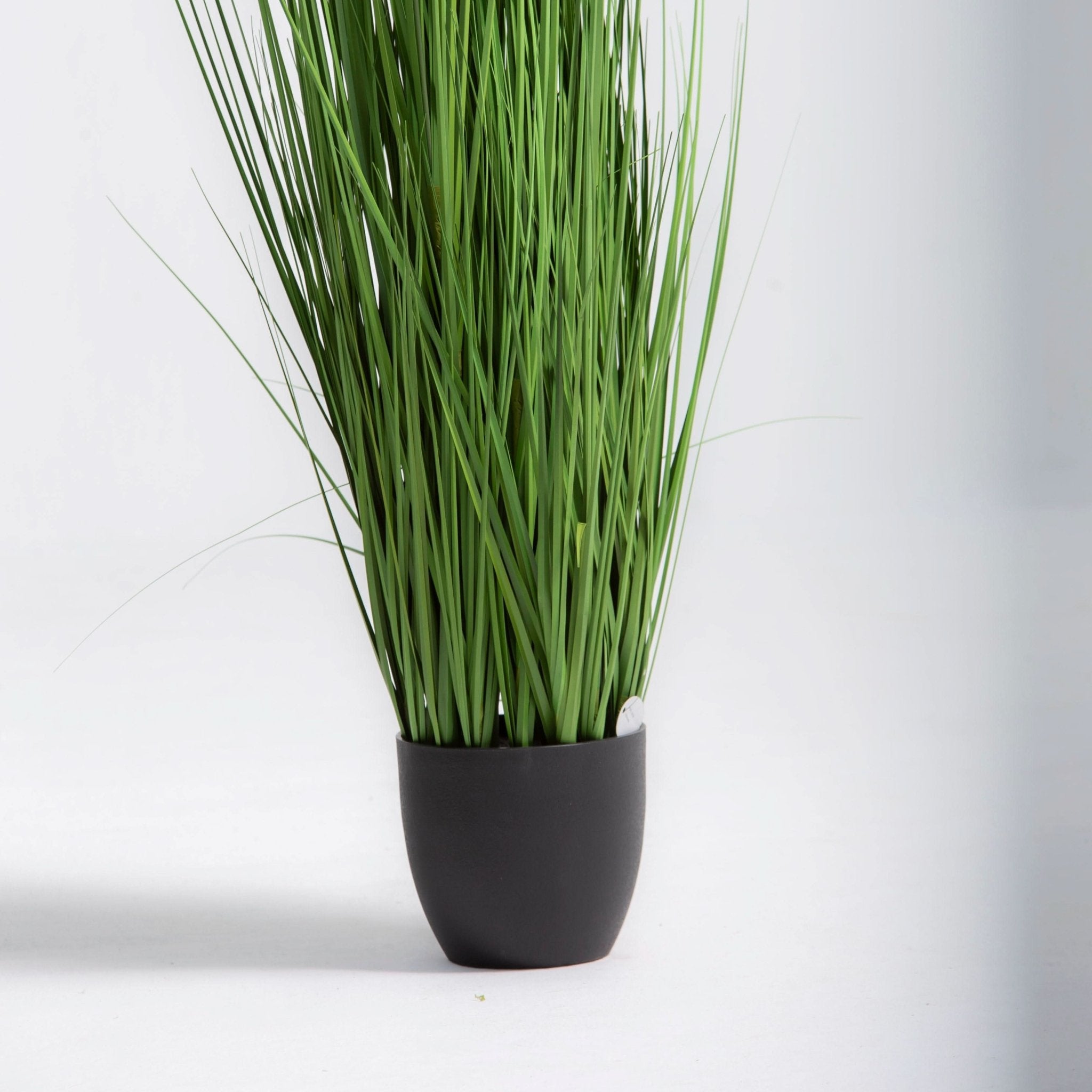 ARTIFICIAL PAMPAS GRASS PLANT (150CM) - Art and craft furniture