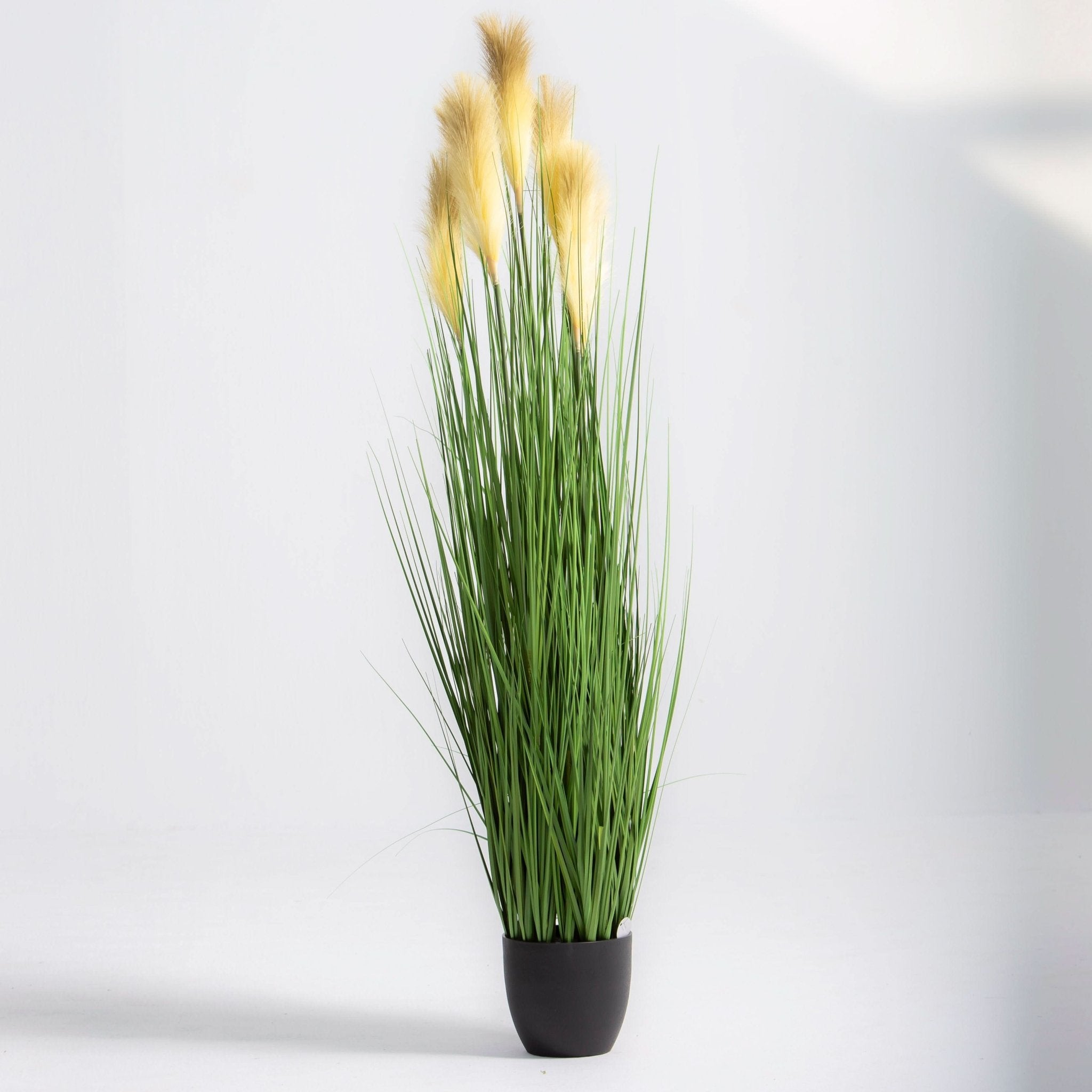 ARTIFICIAL PAMPAS GRASS PLANT (150CM) - Art and craft furniture