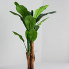 Artificial Paradise Banana Plant - Art and craft furniture