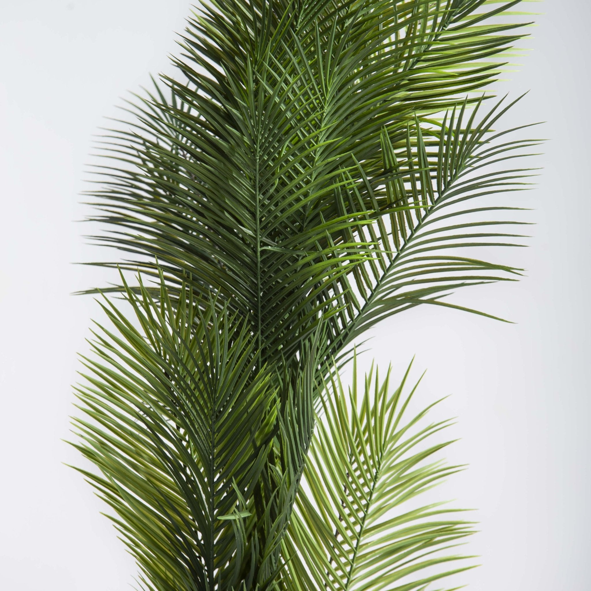 ARTIFICIAL PHOENIX DATE PALM PLANT (180CM) - Art and craft furniture
