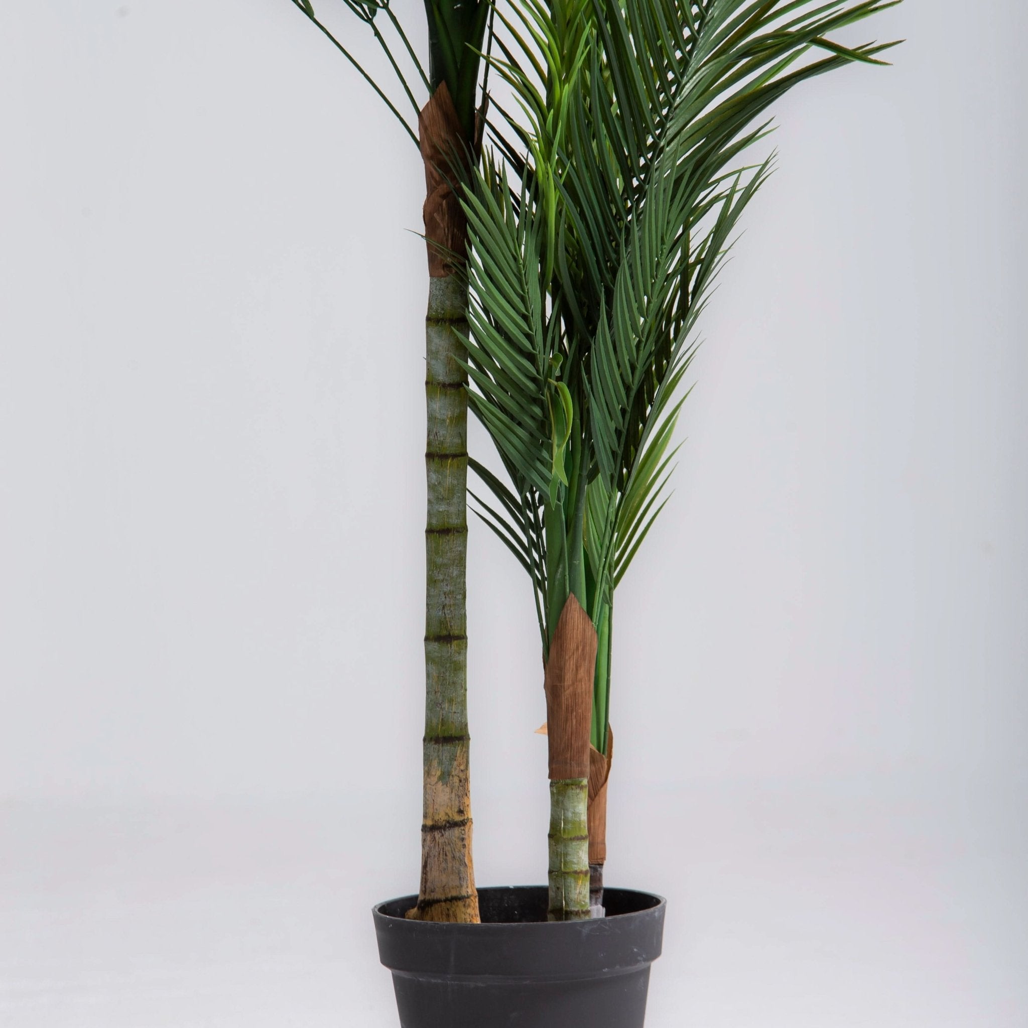 ARTIFICIAL PHOENIX DATE PALM PLANT (180CM) - Art and craft furniture