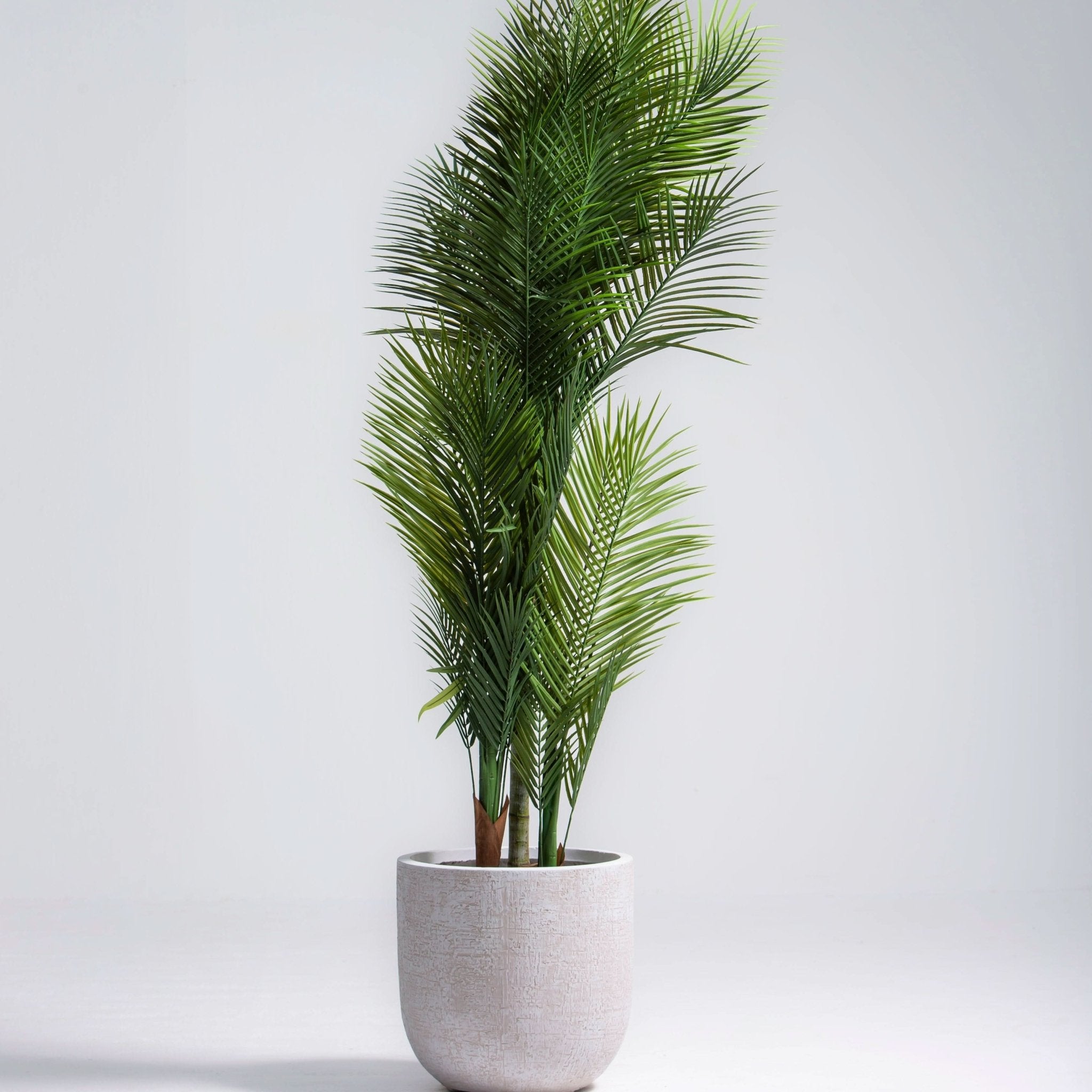ARTIFICIAL PHOENIX DATE PALM PLANT (180CM) - Art and craft furniture