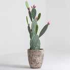 Artificial Pink Blossom Cactus Plant - Art and craft furniture