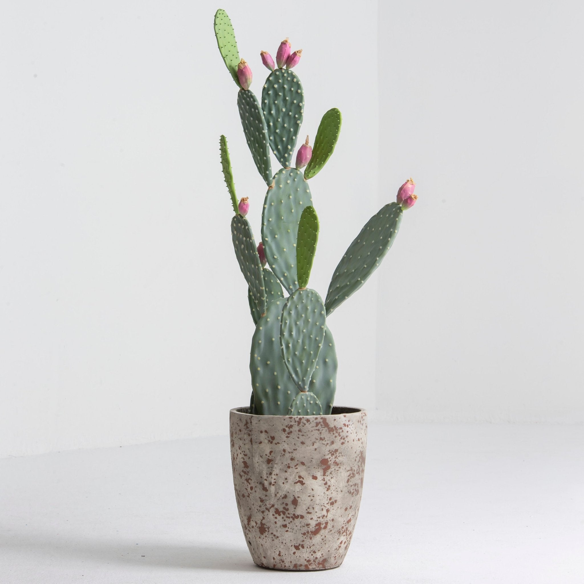 Artificial Pink Blossom Cactus Plant - Art and craft furniture