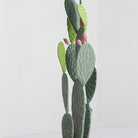 Artificial Pink Blossom Cactus Plant - Art and craft furniture