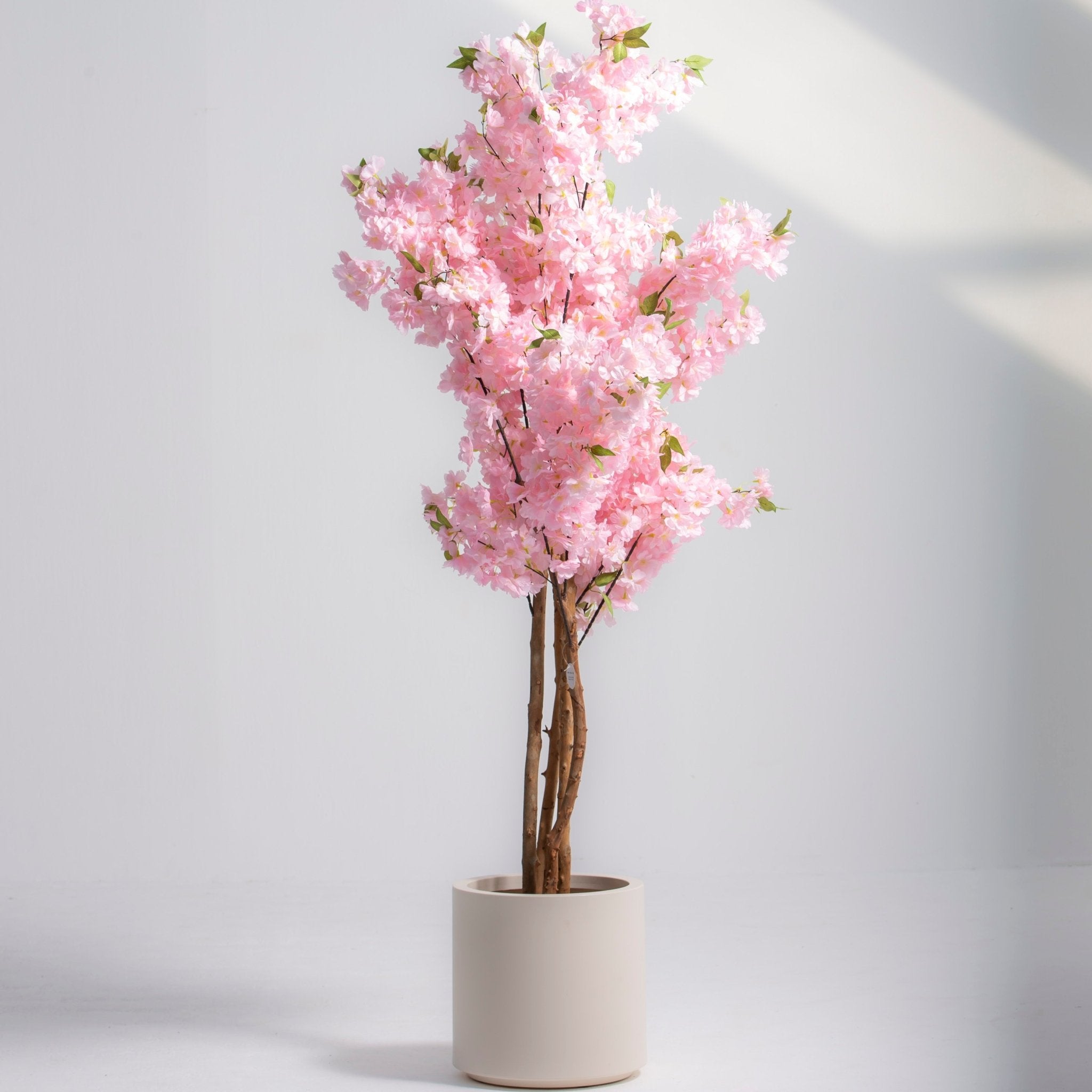 ARTIFICIAL PINK CHERRY BLOSSOM PLANT (160CM) - Art and craft furniture