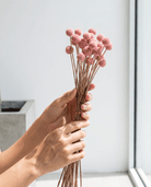 Artificial Pink Craspedia Stems - Art and craft furniture