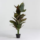 Artificial Potted Calathea Plant - Art and craft furniture