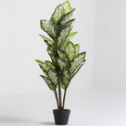 Artificial Potted Calathea Plant - Art and craft furniture