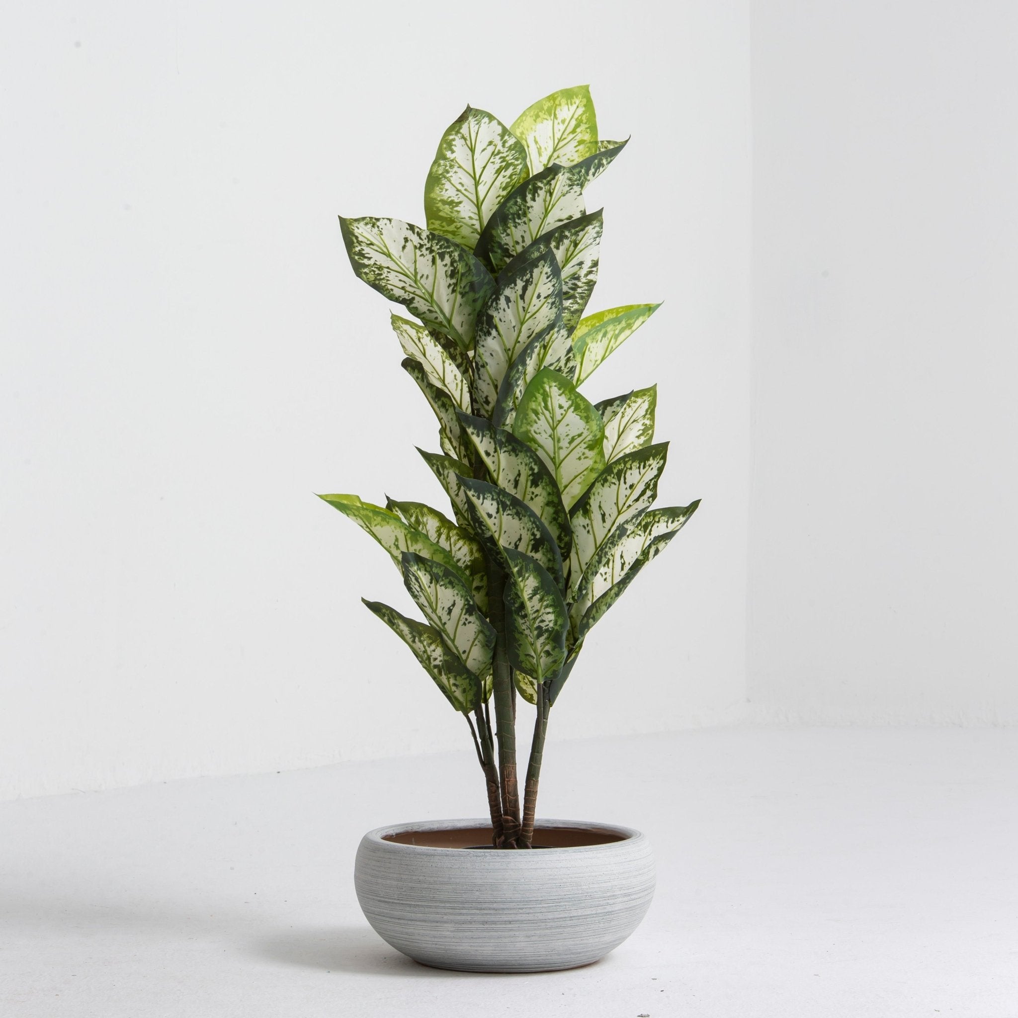 Artificial Potted Calathea Plant - Art and craft furniture