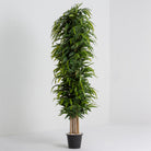 Artificial Potted Hedge Plant - Art and craft furniture