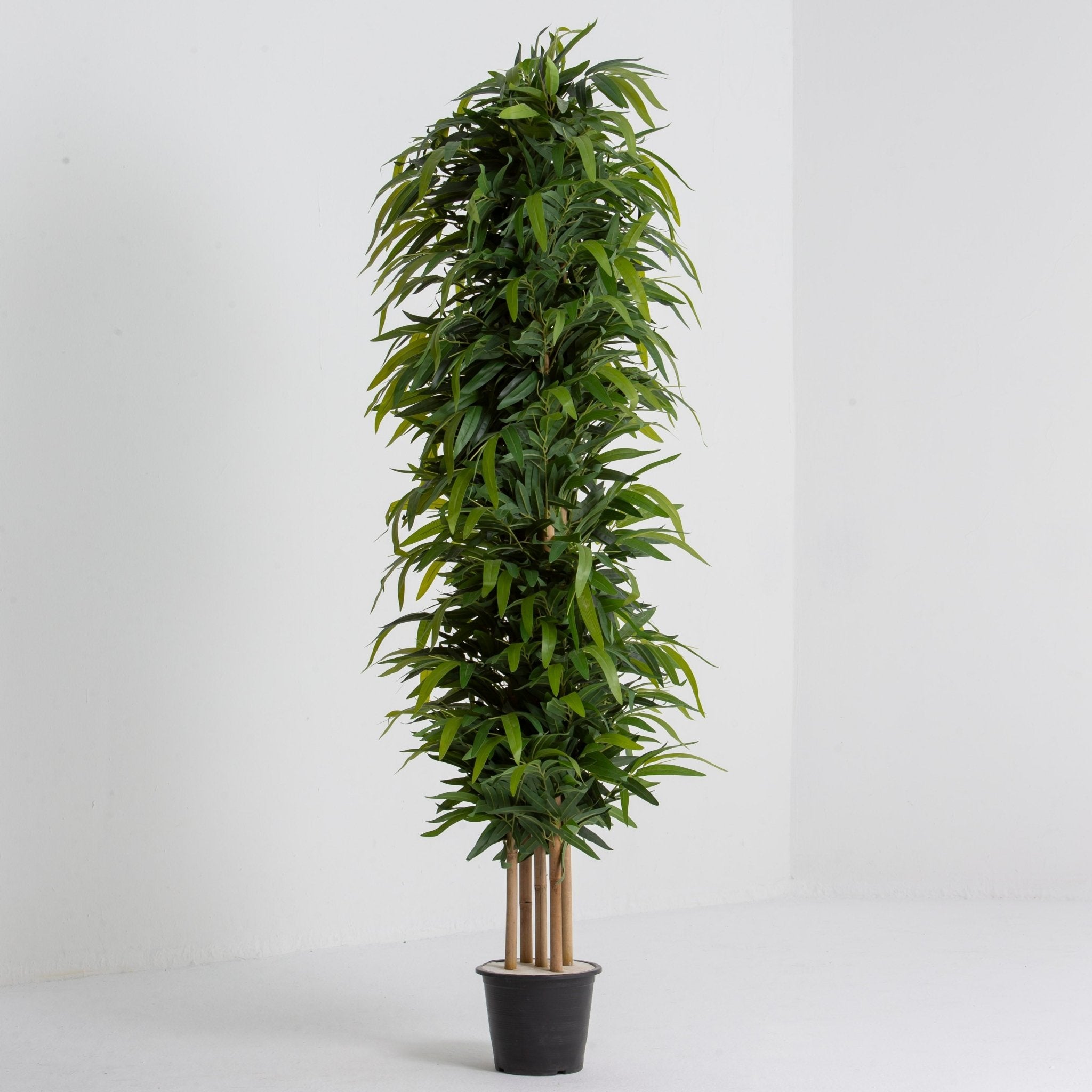 Artificial Potted Hedge Plant - Art and craft furniture