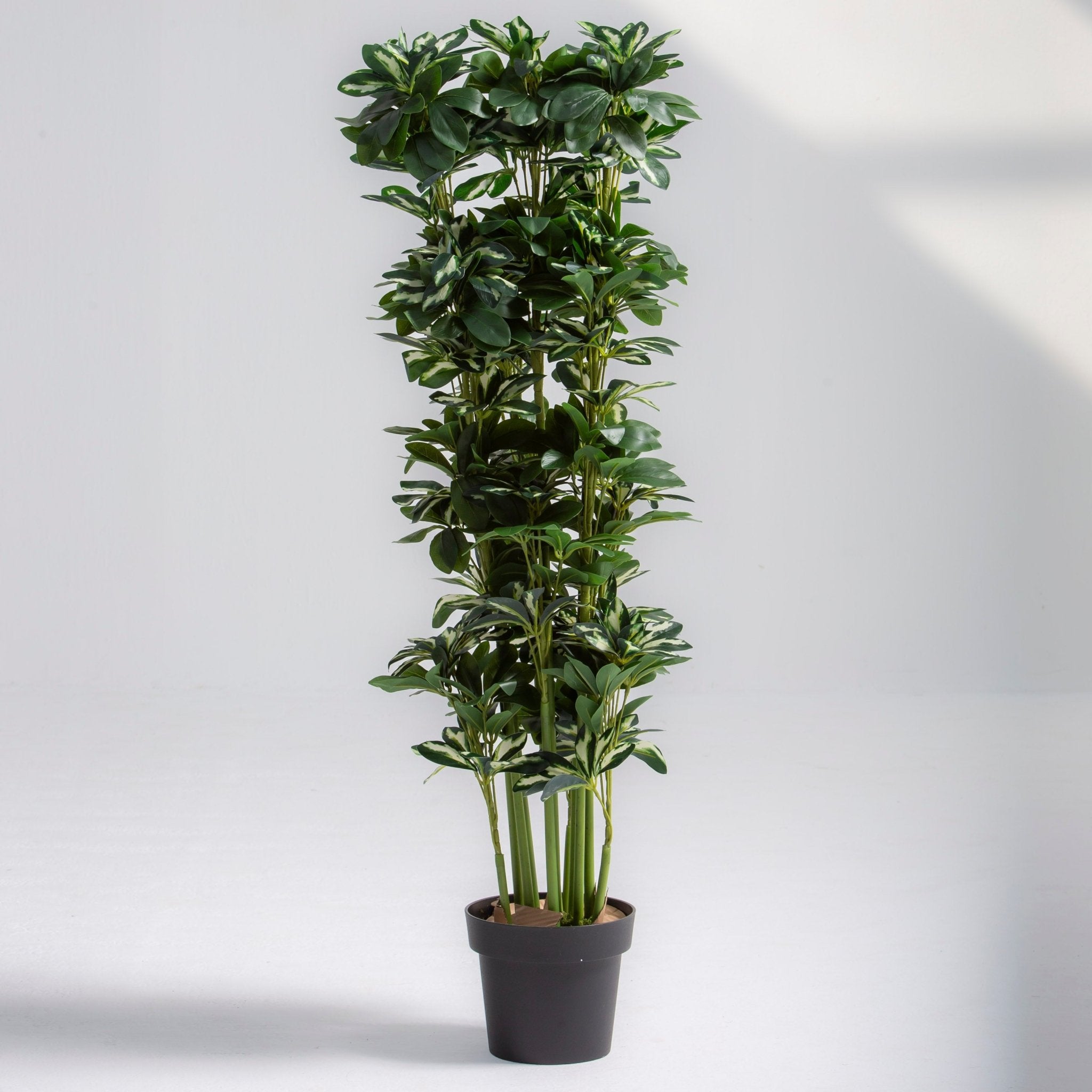 ARTIFICIAL SCHEFFLERA TRINETTE PLANT (120 CM) - Art and craft furniture
