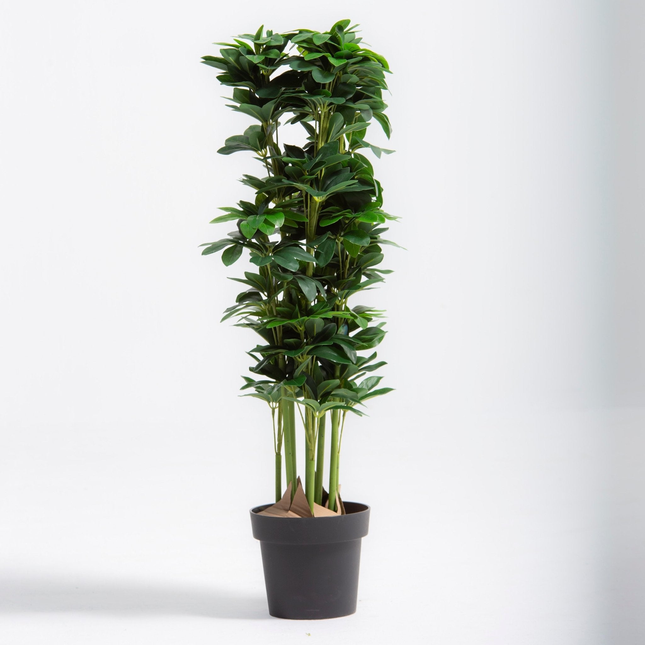 ARTIFICIAL SCHLEFFLERA PLANT (100CM) - Art and craft furniture