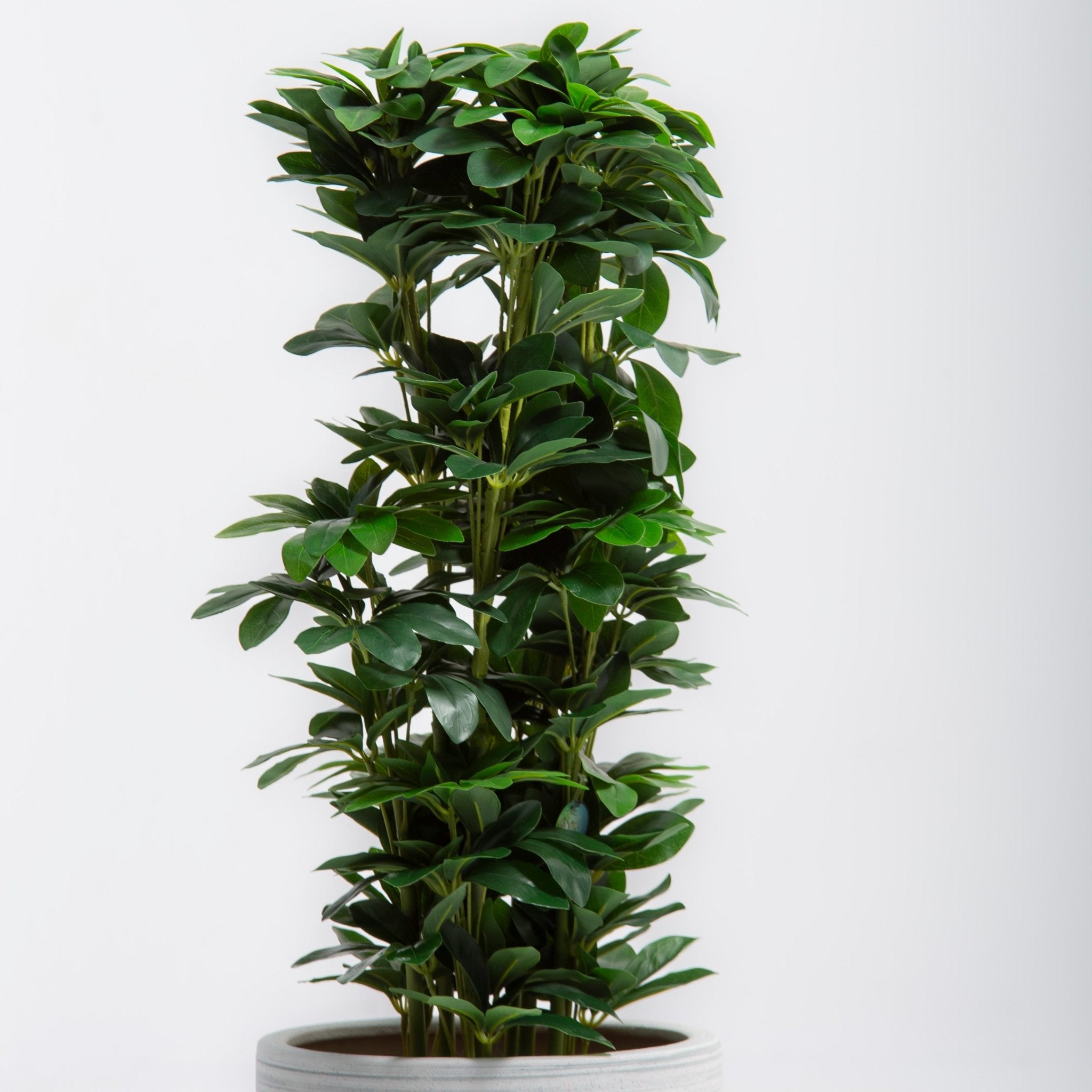 ARTIFICIAL SCHLEFFLERA PLANT (100CM) - Art and craft furniture