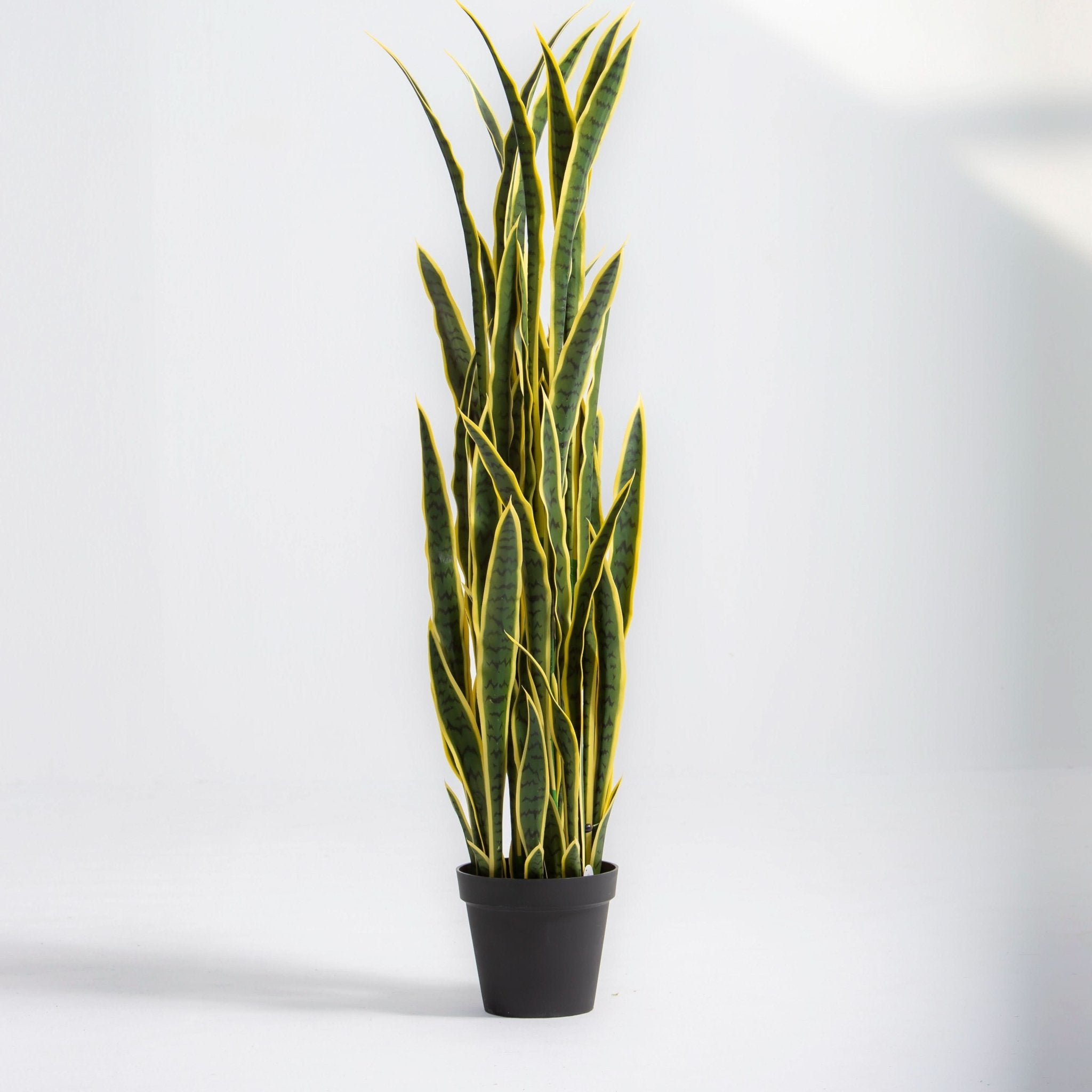 ARTIFICIAL SNAKE PLANT (150CM) - Art and craft furniture