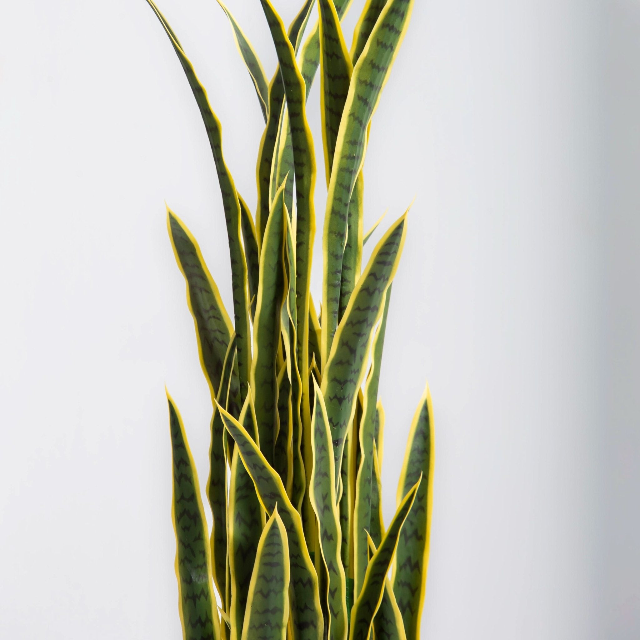ARTIFICIAL SNAKE PLANT (150CM) - Art and craft furniture