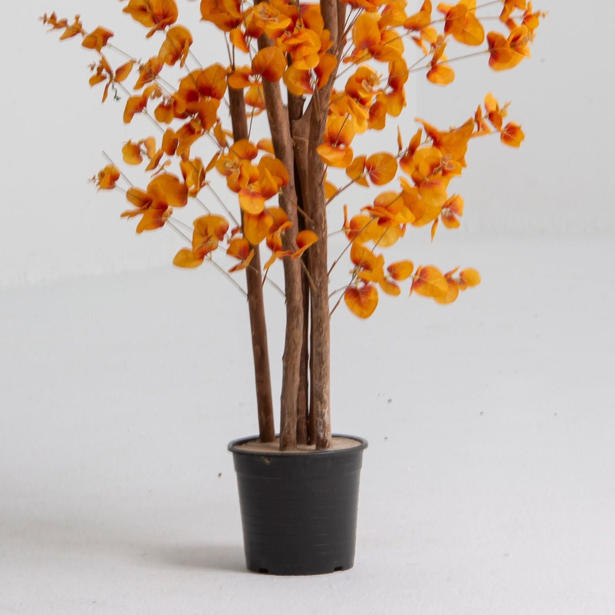 Artificial Sunburst Potted Plant (220CM) - Art and craft furniture