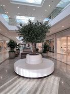 Artificial Trunk Olive Tree and white Pot - Art and craft furniture