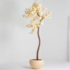 Artificial White Blossom Plant - Art and craft furniture