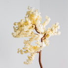 Artificial White Blossom Plant - Art and craft furniture