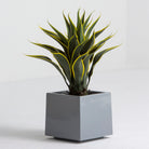 Artificial Yellow Edge Aloe Plant - Art and craft furniture