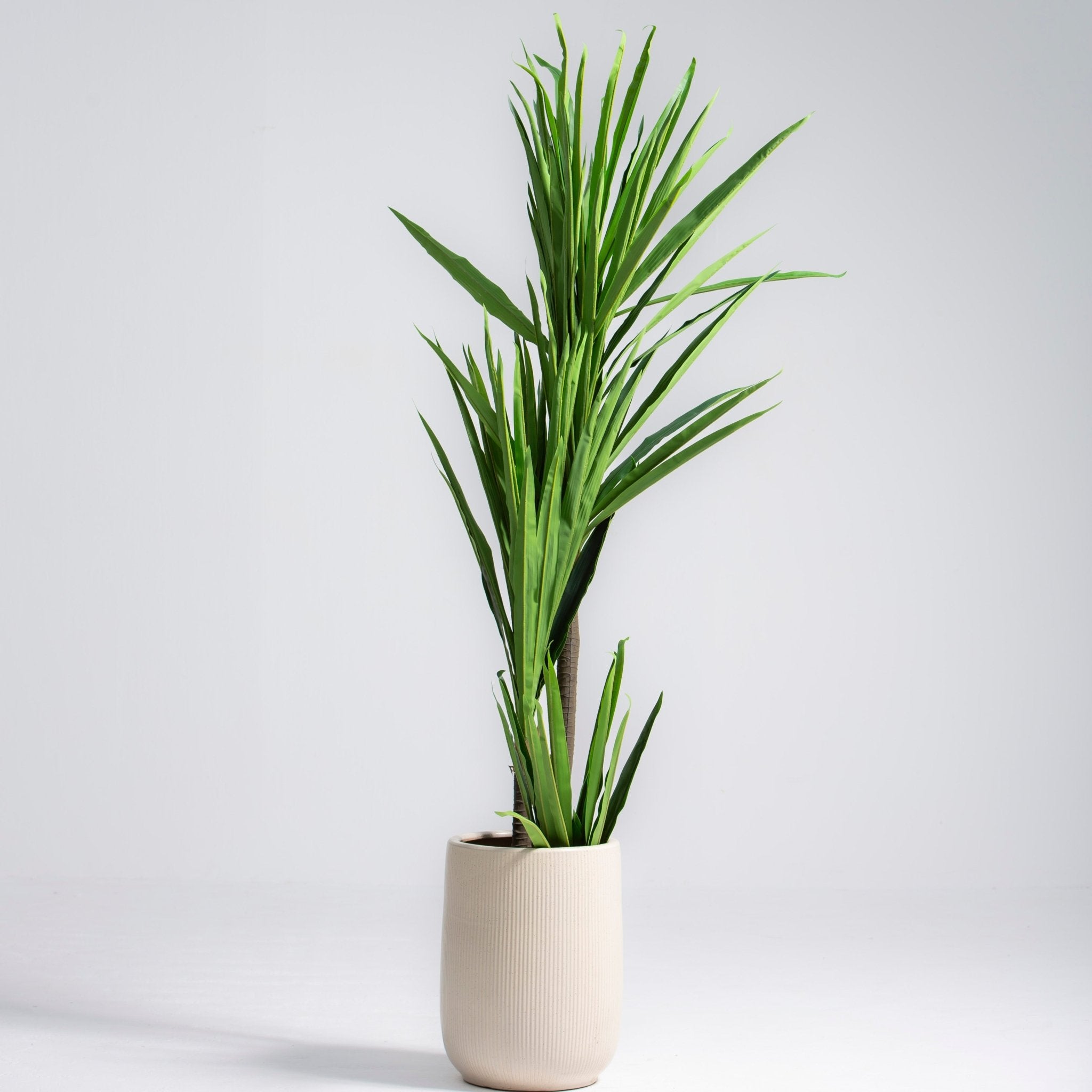 ARTIFICIAL YUCCA ELPHANTIPES PLANT (190CM) - Art and craft furniture