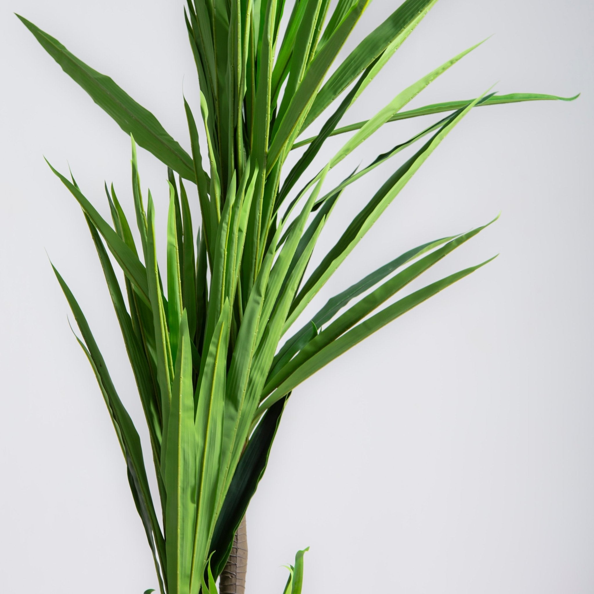 ARTIFICIAL YUCCA ELPHANTIPES PLANT (190CM) - Art and craft furniture