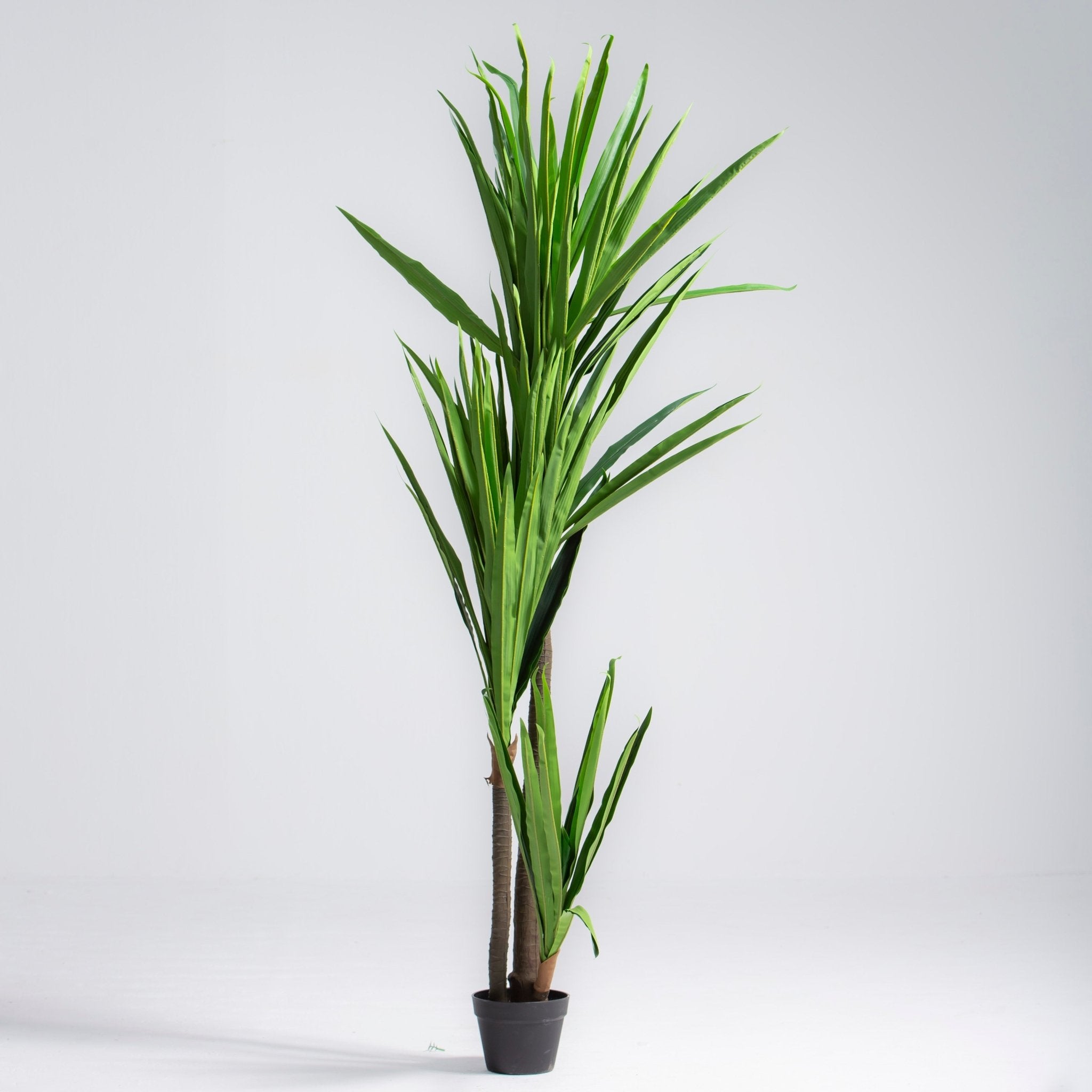 ARTIFICIAL YUCCA ELPHANTIPES PLANT (190CM) - Art and craft furniture