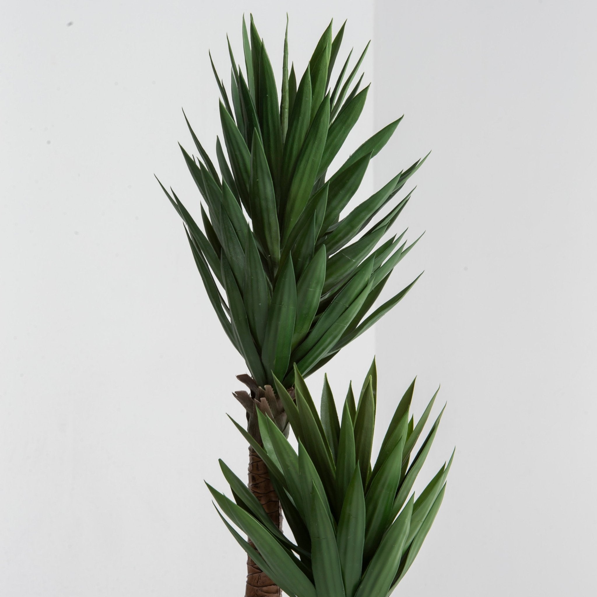 ARTIFICIAL YUCCA TREE PLANT (150CM) - Art and craft furniture
