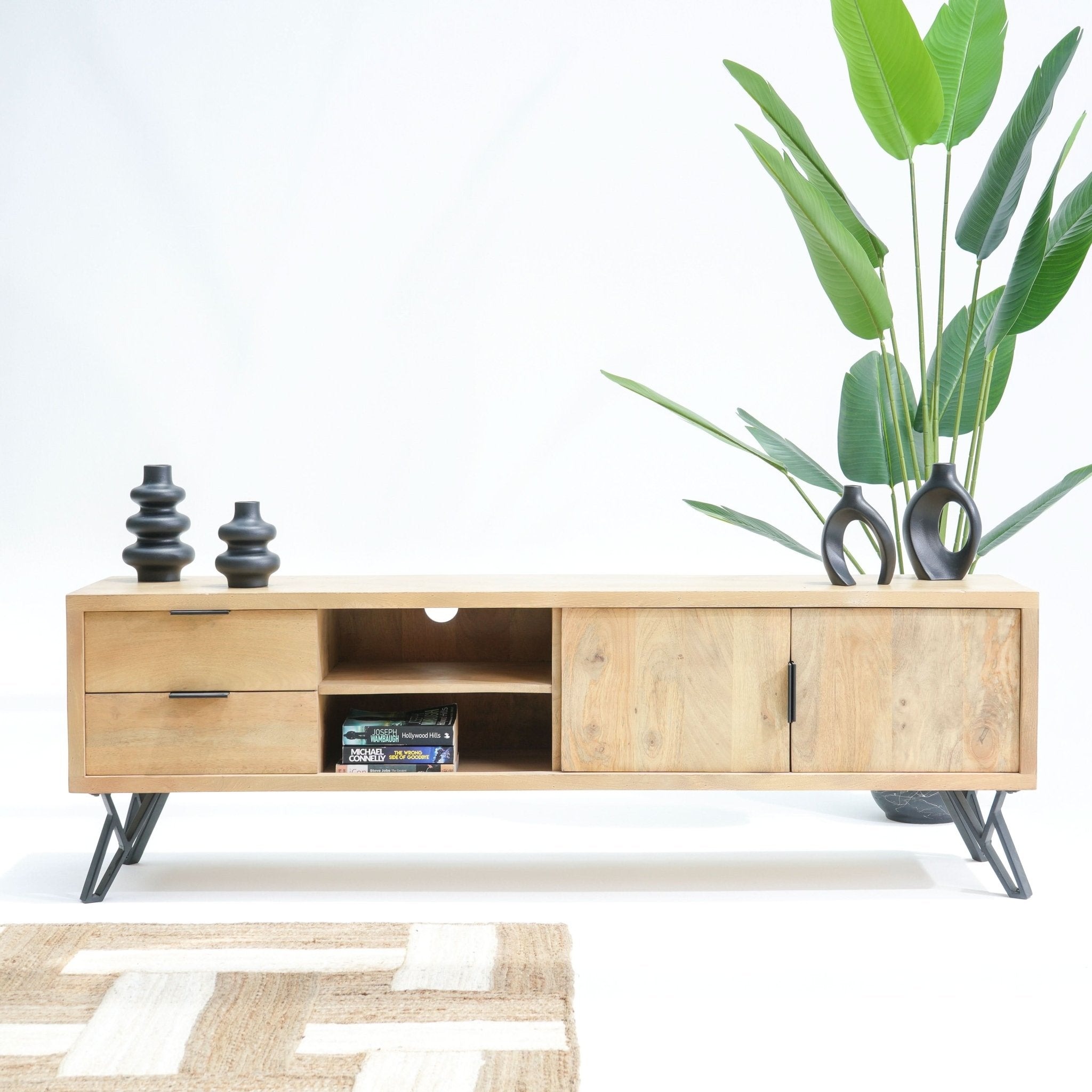 AVENUE TWO DOOR TWO DRAWER TV STAND - Art and craft furniture