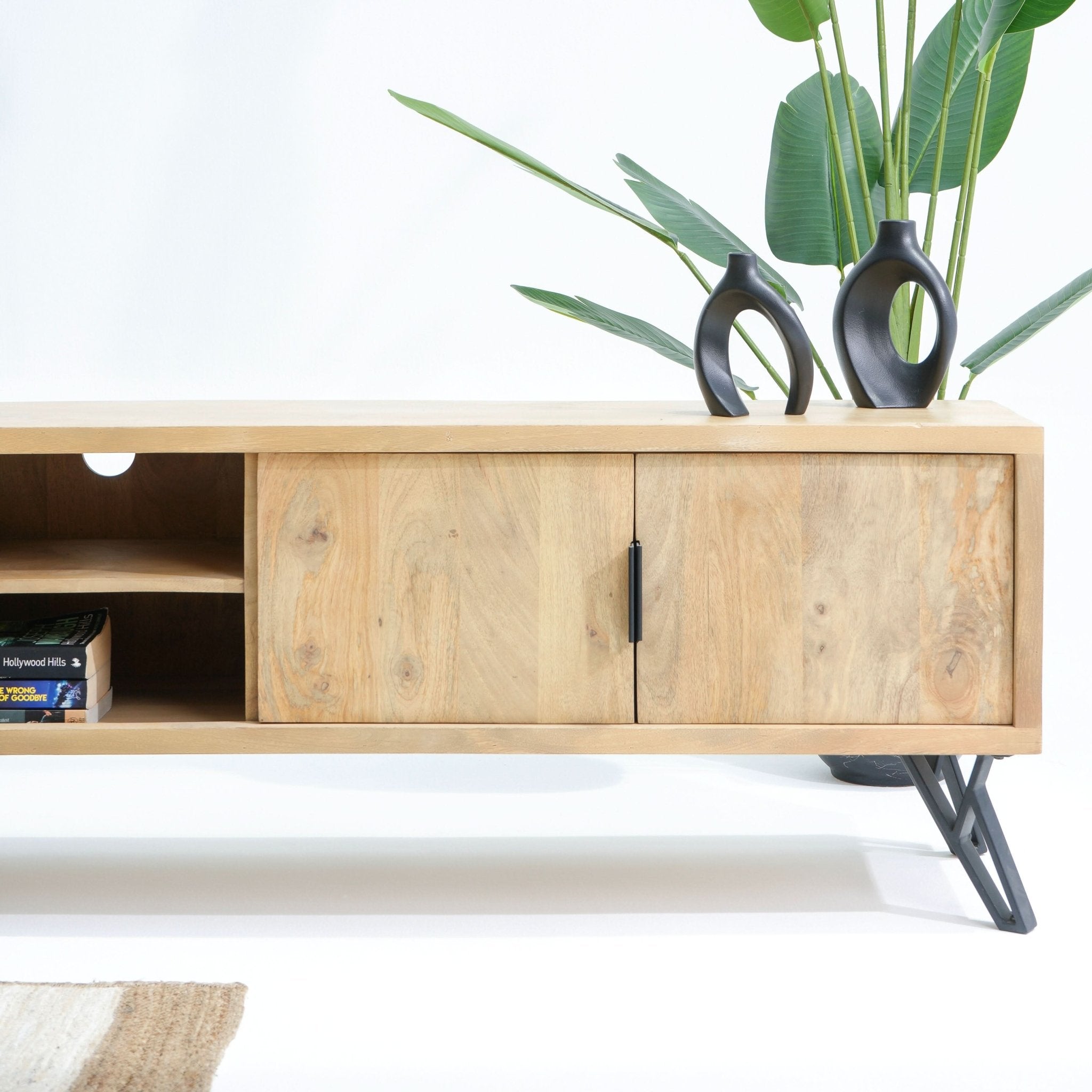 AVENUE TWO DOOR TWO DRAWER TV STAND - Art and craft furniture