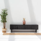 BARMER WOODEN TV STAND - Art and craft furniture