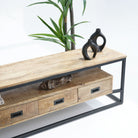 BERLIN LOFT WOODEN FOUR DRAWER TV STAND - Art and craft furniture