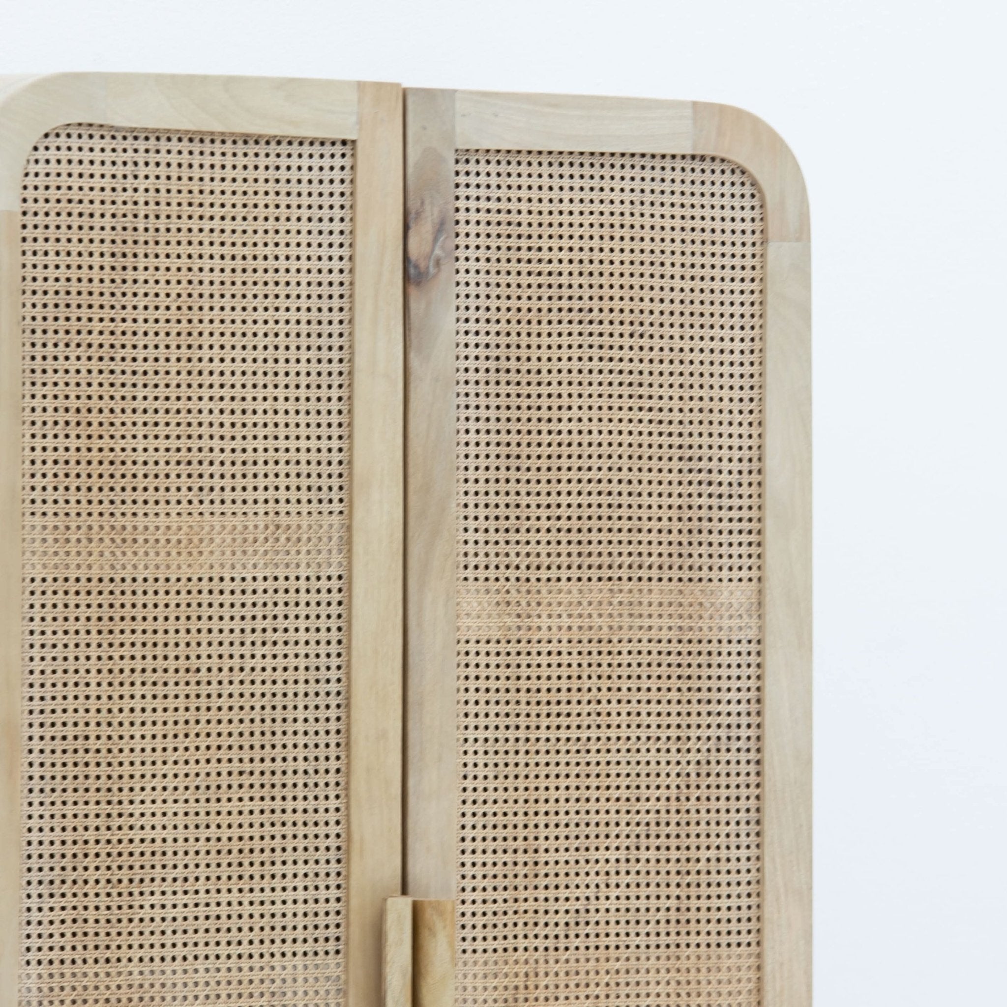 CANOVA RATTAN TWO DOOR CABINET - Art and craft furniture
