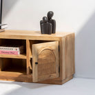 CANOVA RATTAN TWO DOOR TV STAND - Art and craft furniture