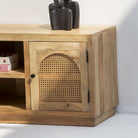 CANOVA RATTAN TWO DOOR TV STAND - Art and craft furniture