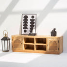 CANOVA RATTAN TWO DOOR TV STAND - Art and craft furniture