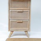 CANOVIA CANE FOUR DRAWER CHEST - Art and craft furniture